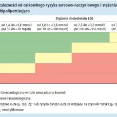 Jak obliczyć cholesterol resztkowy i uniknąć ryzyka sercowego