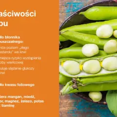 Bób właściwości: bogaty w błonnik rozpuszczalny, obniża cholesterol, zmniejsza ryzyko chorób serca, reguluje glukozę, zawiera kwas foliowy, mangan, miedź, fosfor, magnez, żelazo, potas i tiaminę.