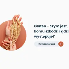 Dłonie trzymające kłosy zbóż. Tekst: "Gluten - czym jest, komu szkodzi i gdzie występuje?". Dowiedz się więcej.