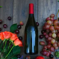 Czy wino jest wegańskie? Odkryj, co naprawdę zawiera Twoje wino