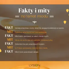 Fakty i mity o miodzie. Czy miód akacjowy ma właściwości lecznicze? Sprawdź, co jest prawdą, a co mitem.