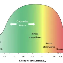 Wykres pokazuje zależność optymalnego zasilania mięśni i mózgu od poziomu ketonów we krwi. W optymalnej ketozie ciała ketonowe efektywnie odżywiają organizm.