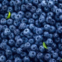 Gęsto ułożone, mokre borówki z kilkoma zielonymi listkami. Idealne do zdrowej diety, niskie borówki kcal.