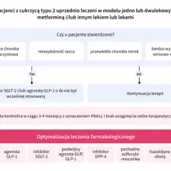 Schemat leczenia cukrzycy typu 2. Decyzje oparte na chorobach sercowo-naczyniowych, nerek i ryzyku. Optymalizacja terapii.