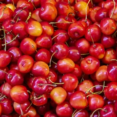Mnóstwo soczystych czereśni, idealnych na zdrową przekąskę. Sprawdź, ile mają czereśnie kcal!