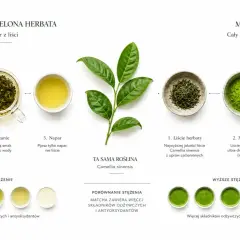 Porównanie tradycyjnej zielonej herbaty i matchy. Matcha, dzięki spożyciu całego liścia, ma bogatsze matcha właściwości odżywcze i antyoksydacyjne.
