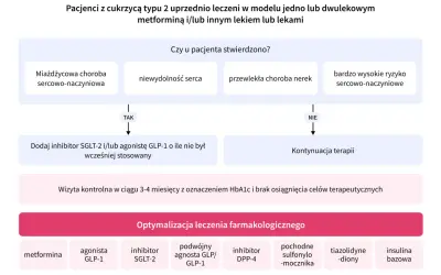 Schemat leczenia cukrzycy typu 2. Decyzje oparte na chorobach sercowo-naczyniowych, nerek i ryzyku. Optymalizacja terapii.