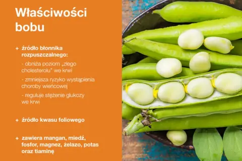 Bób właściwości: bogaty w błonnik rozpuszczalny, obniża cholesterol, zmniejsza ryzyko chorób serca, reguluje glukozę, zawiera kwas foliowy, mangan, miedź, fosfor, magnez, żelazo, potas i tiaminę.