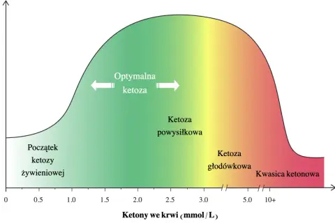 Wykres pokazuje zależność optymalnego zasilania mięśni i mózgu od poziomu ketonów we krwi. W optymalnej ketozie ciała ketonowe efektywnie odżywiają organizm.