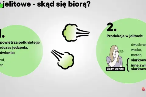 Dwa źródła gazów jelitowych: połknięte powietrze i produkcja w jelitach (np. siarkowodór).