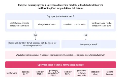 Schemat leczenia cukrzycy typu 2. Decyzje oparte na chorobach sercowo-naczyniowych, nerek i ryzyku. Optymalizacja terapii.