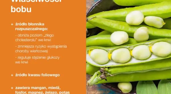 Bób właściwości: bogaty w błonnik rozpuszczalny, obniża cholesterol, zmniejsza ryzyko chorób serca, reguluje glukozę, zawiera kwas foliowy, mangan, miedź, fosfor, magnez, żelazo, potas i tiaminę.