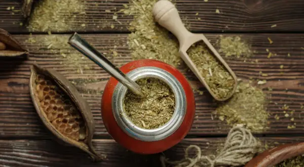 Czerwone naczynie z bombillą, drewniana łopatka z suszem i strąki – wszystko to sugeruje bogactwo yerba mate właściwości.
