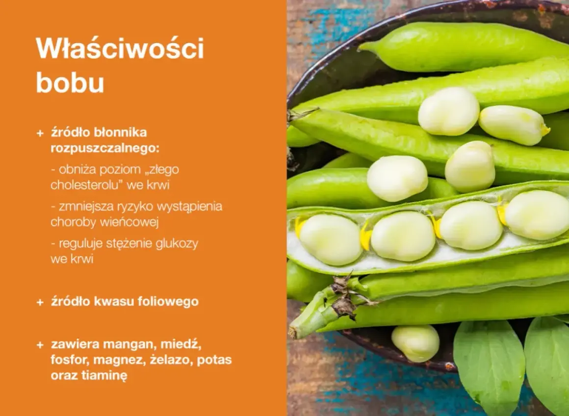 Bób właściwości: bogaty w błonnik rozpuszczalny, obniża cholesterol, zmniejsza ryzyko chorób serca, reguluje glukozę, zawiera kwas foliowy, mangan, miedź, fosfor, magnez, żelazo, potas i tiaminę.