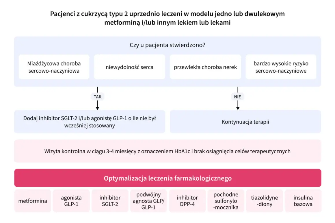 Schemat leczenia cukrzycy typu 2. Decyzje oparte na chorobach sercowo-naczyniowych, nerek i ryzyku. Optymalizacja terapii.