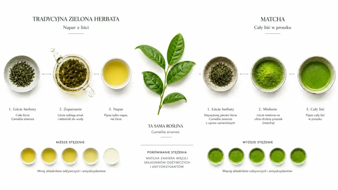 Porównanie tradycyjnej zielonej herbaty i matchy. Matcha, dzięki spożyciu całego liścia, ma bogatsze matcha właściwości odżywcze i antyoksydacyjne.
