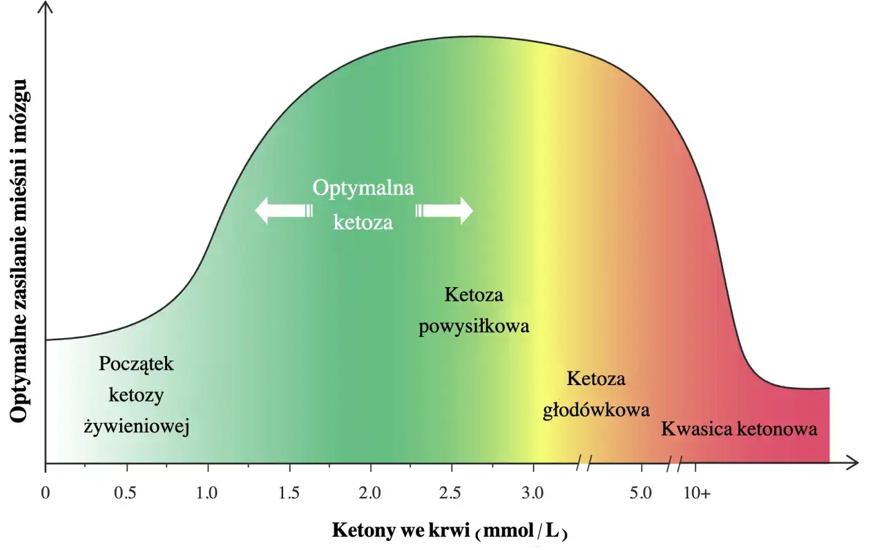 Ketony na diecie keto - ketoza czy kwasica ketonowa?