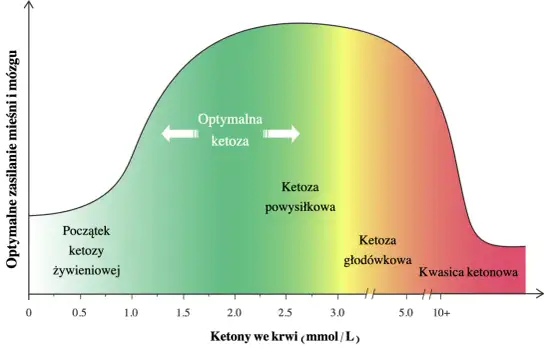 Ketony na diecie keto - ketoza czy kwasica ketonowa?