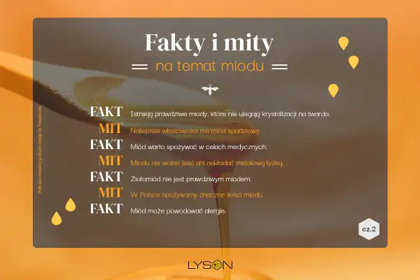 Fakty i mity o miodzie. Czy miód akacjowy ma właściwości lecznicze? Sprawdź, co jest prawdą, a co mitem.