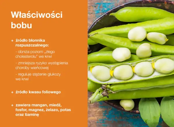 Zielone strąki bobu, z których wysypują się białe ziarna. Bób pieczony to zdrowe źródło błonnika i kwasu foliowego.