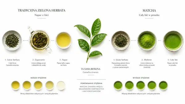Porównanie tradycyjnej zielonej herbaty i matchy. Matcha, dzięki spożyciu całego liścia, ma bogatsze matcha właściwości odżywcze i antyoksydacyjne.